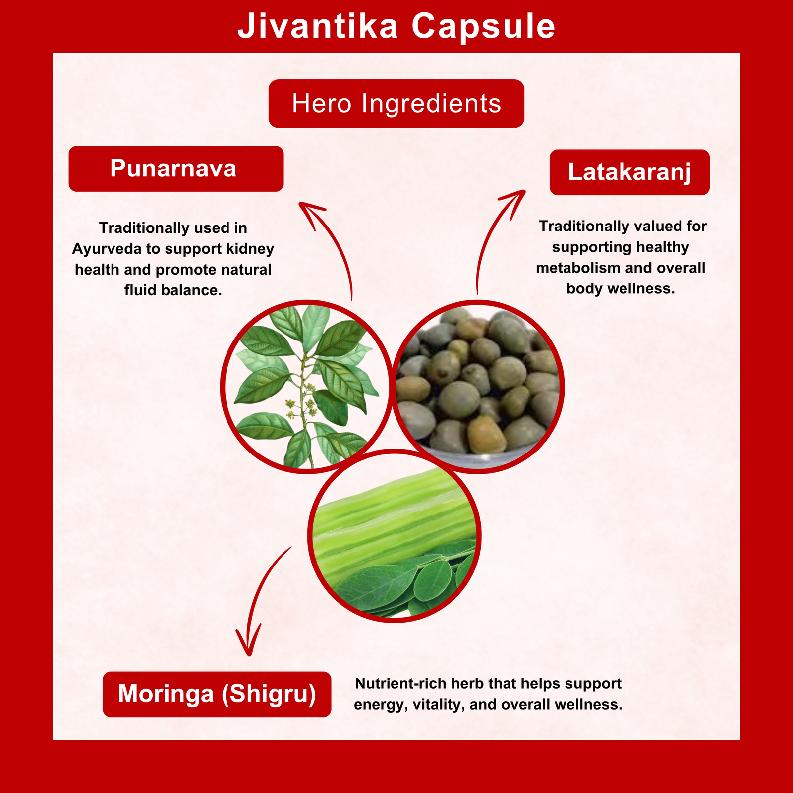 Jivantika Capsule