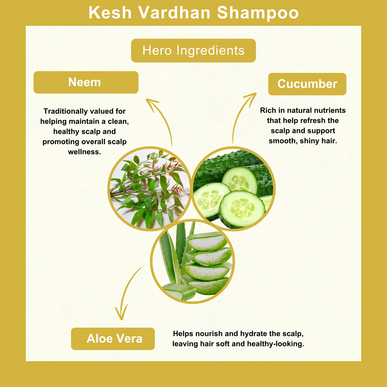 Keshvardhan Shampoo